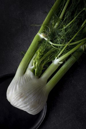 Fresh raw fennel