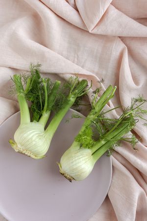 Fresh raw fennel