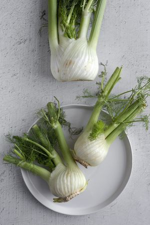 Fresh raw fennel