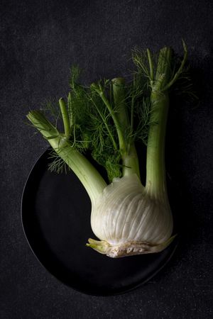 Fresh raw fennel