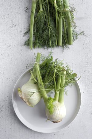 Fresh raw fennel